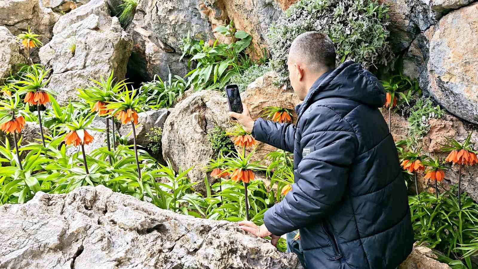 Bu laleleri koparmanın cezası 700 bin lira