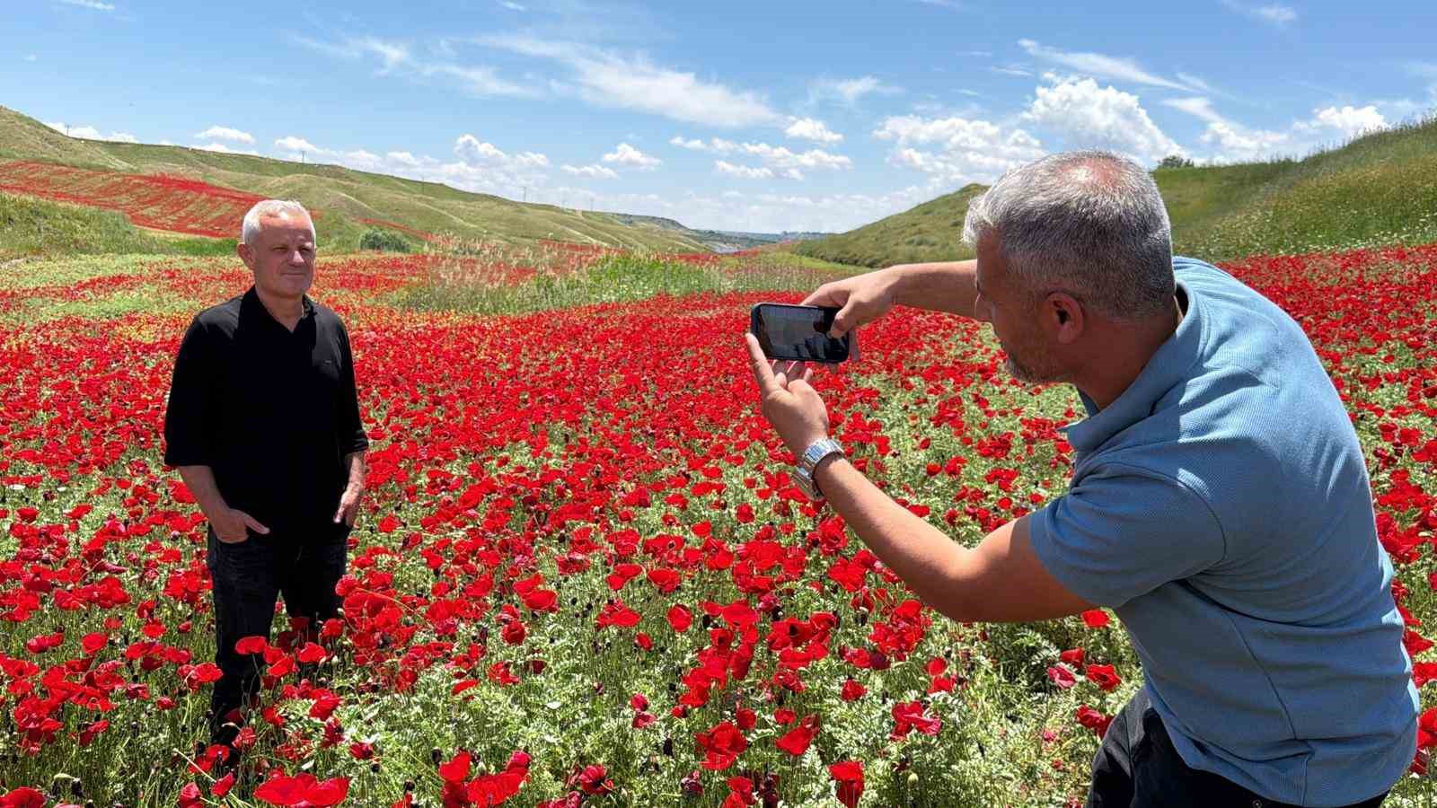 Gelinciklerle kırmızıya bürünen nohut tarlası hayran bıraktı