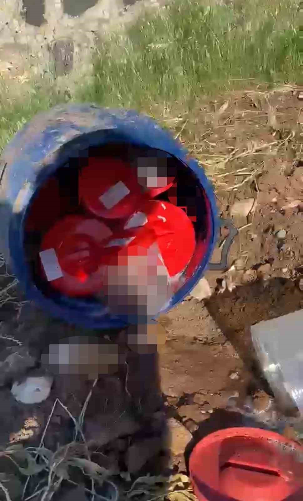 Plastik kutularda 21 cenin bulundu