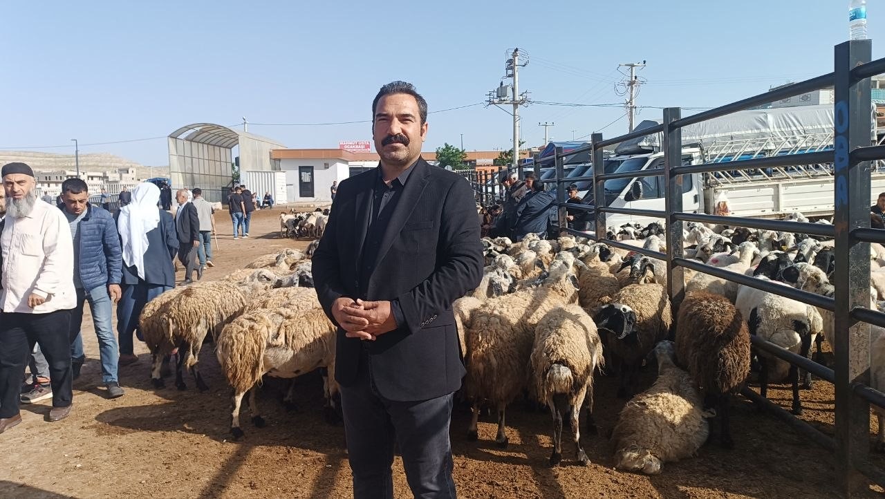 Şanlıurfa’da komisyoncularla besicilerin rekabeti başladı
