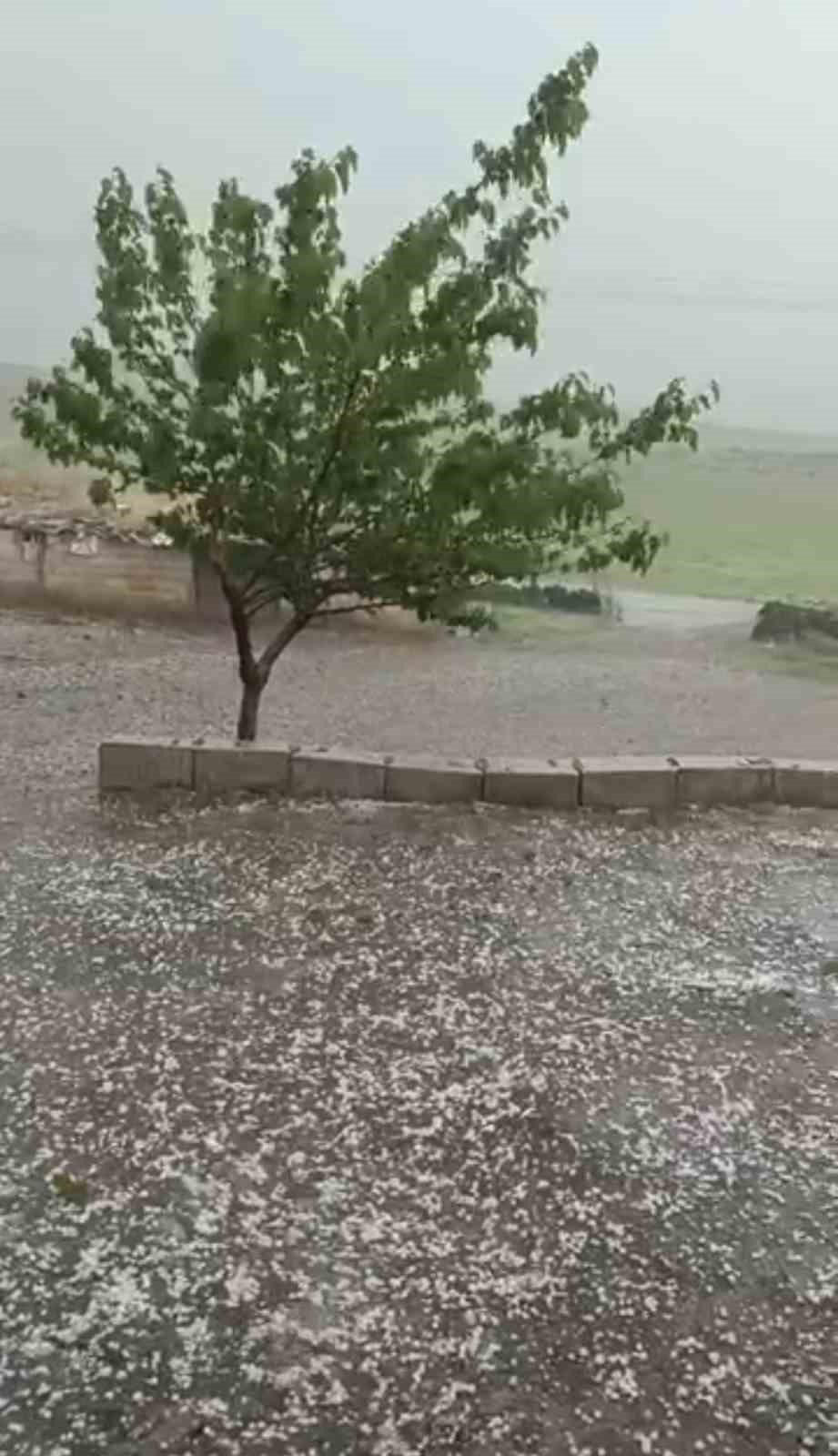 Siverek’te ceviz büyüklüğünde dolu yağdı